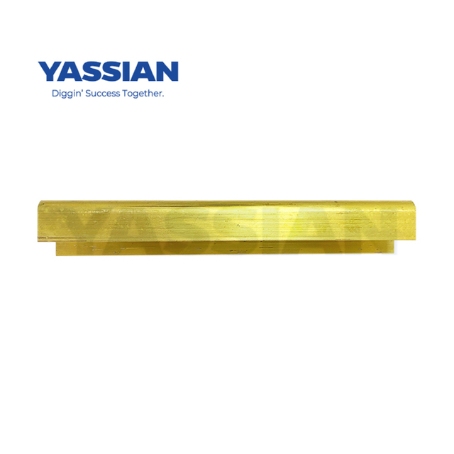 Portez la bande 1781685 Strip de plaque 2,5 kg pour protéger votre machine