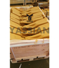Dent de seau de tigre 4T5502TL