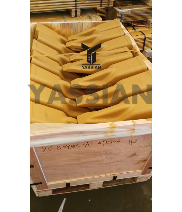 Dent de seau de tigre 4T5502TL