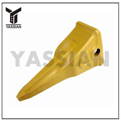 Dent de seau de tigre 4T5502TL